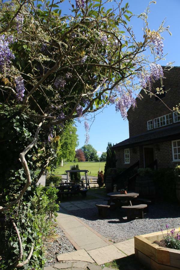 Red Lion Pub, Restaurant&Hotel Rooms Betchworth Exterior foto